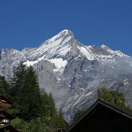 Apartment Baereggblick - Griwa Rent Ag Grindelwald Dış mekan fotoğraf